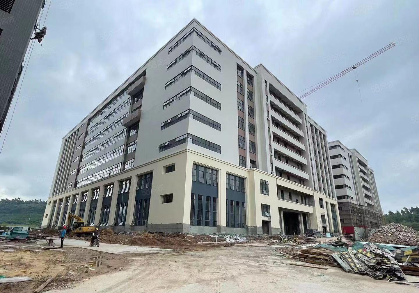 常平新建1000平标准厂房低价出租