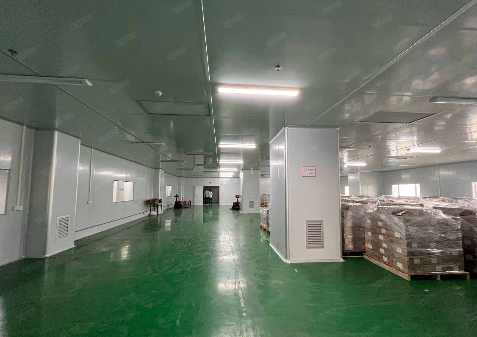 木轮工业园 无尘车间1600平厂房出租 5吨大货梯！形象好！