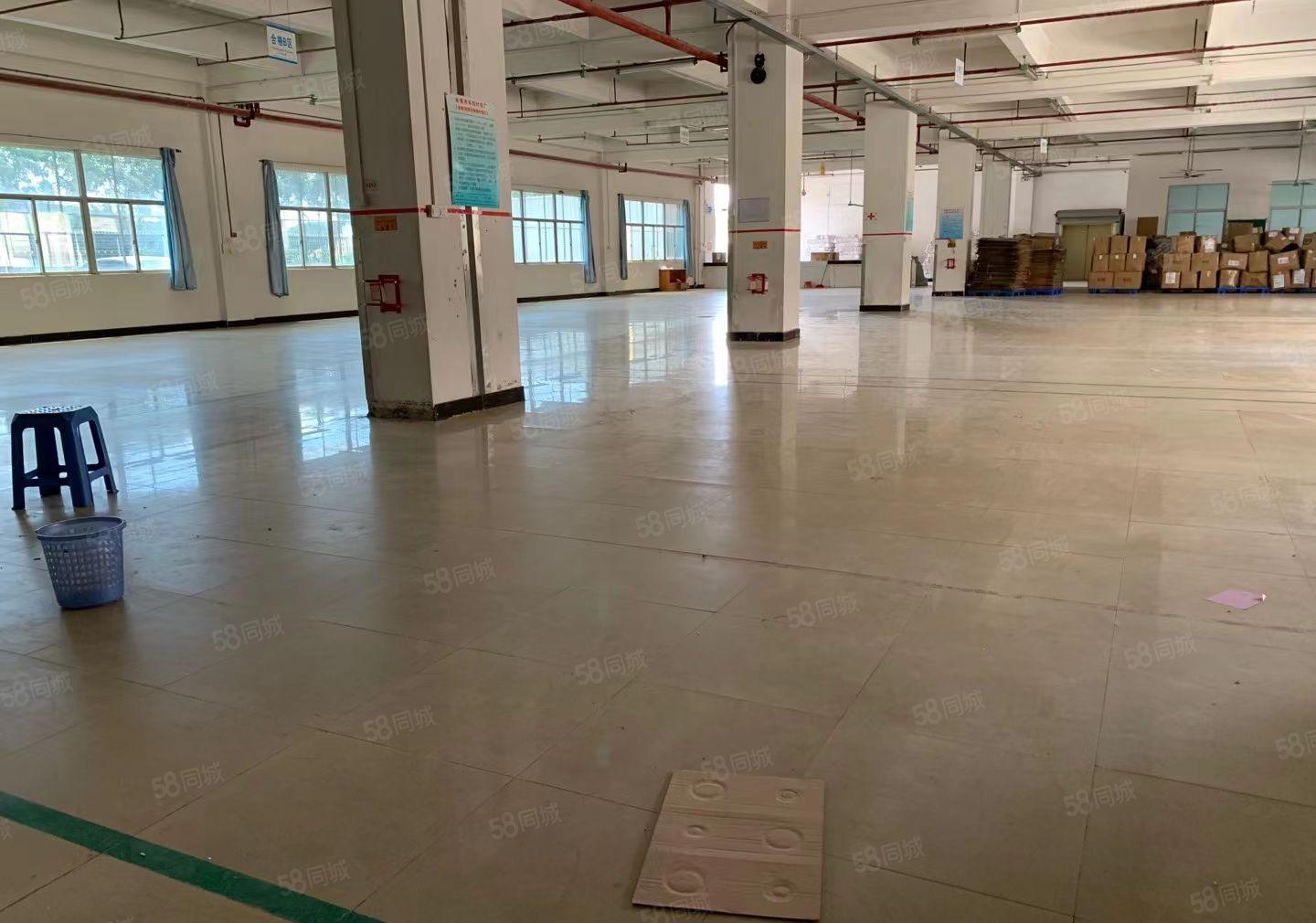 常平还珠沥厂房分组二楼1300平方带装修形象好空地大楼上招租