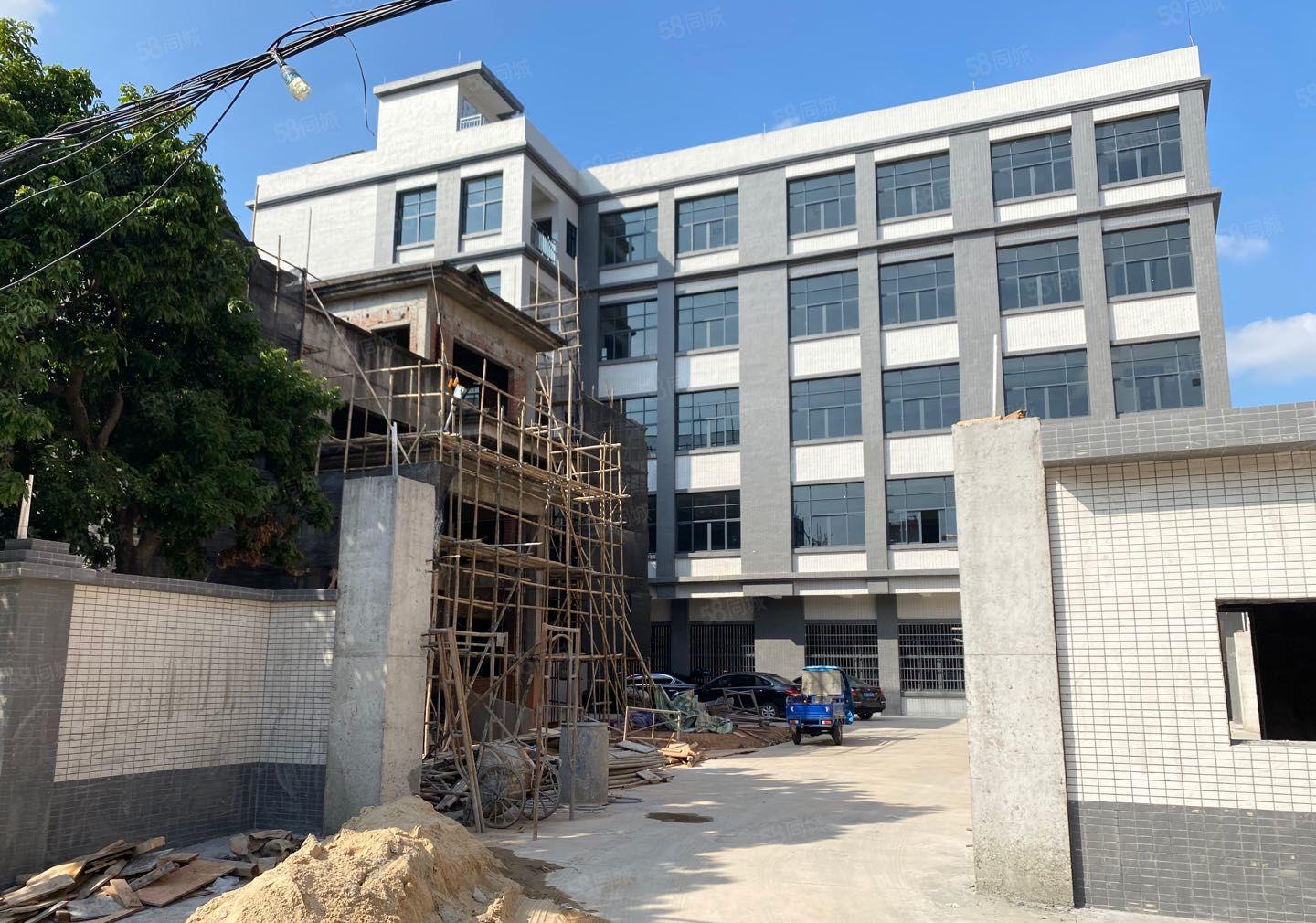 常平全新标准独院一楼6米高租金优惠5600平方可分租