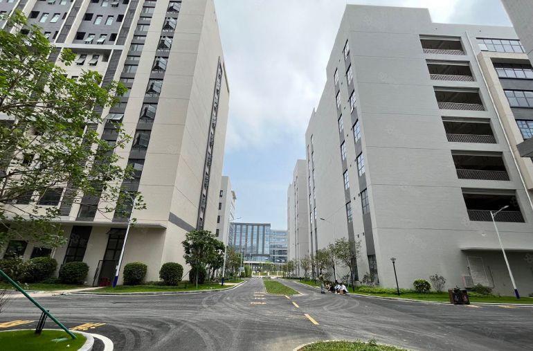 常平全新厂房招租单层面积3100和2100不等（大小可以分租