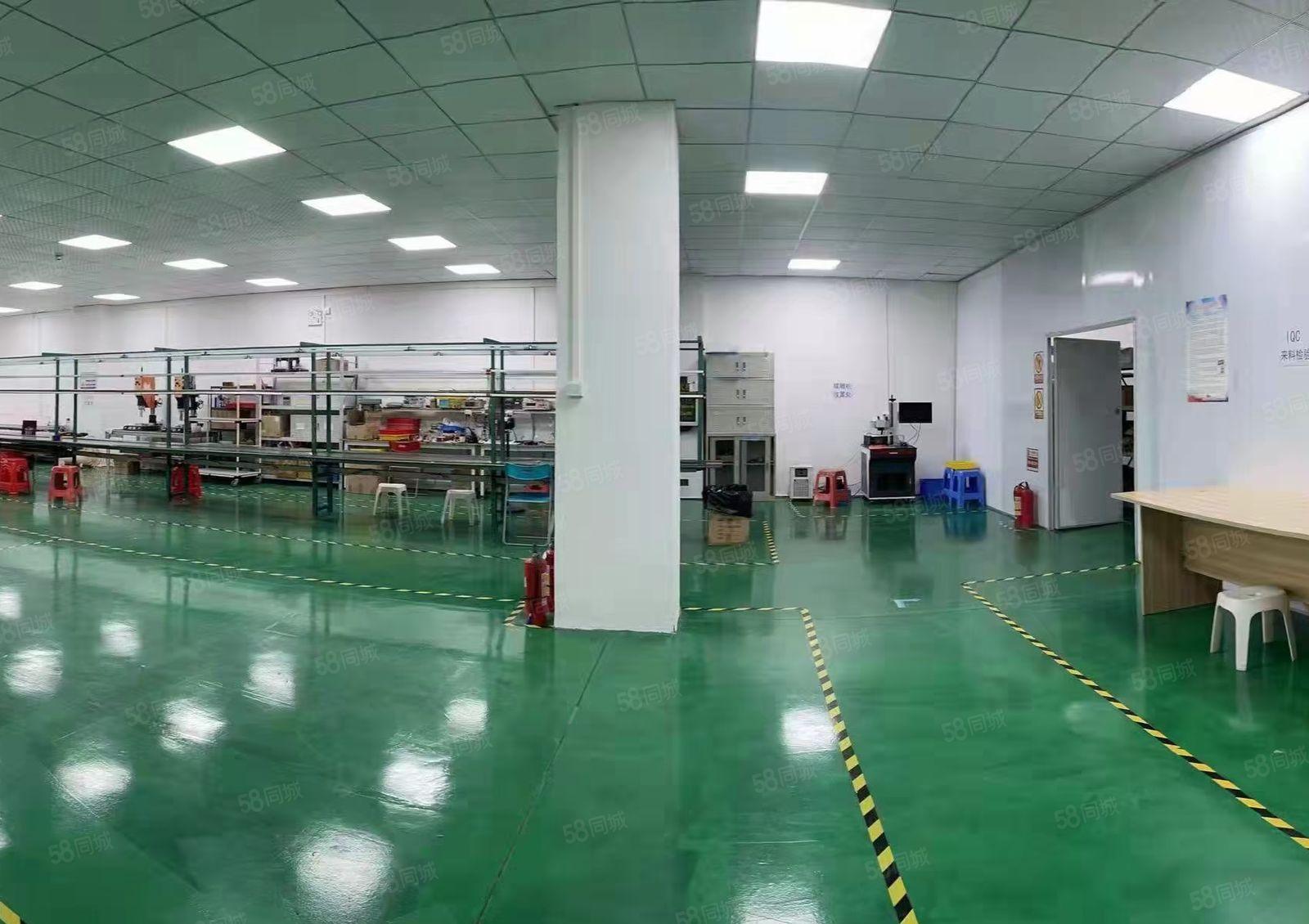 常平镇新出独院标准厂房15000平方，形象好空地大，豪华装修