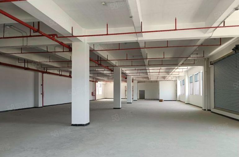 常平镇独院标准13000平方厂房出租，空地大环境好，价格便宜