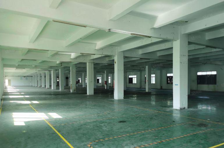 常平镇高速口原房东独院13045平出租 工业用地 水电完好