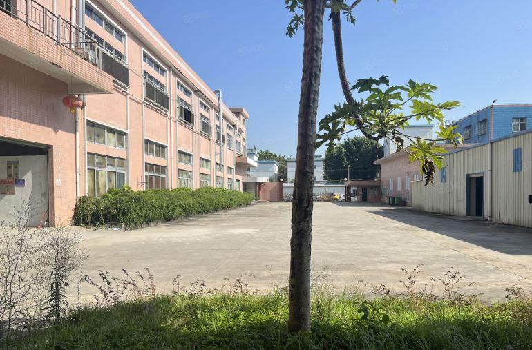 常平新出原房东标准小独院。带独栋豪华办公室，形象好空地超大，