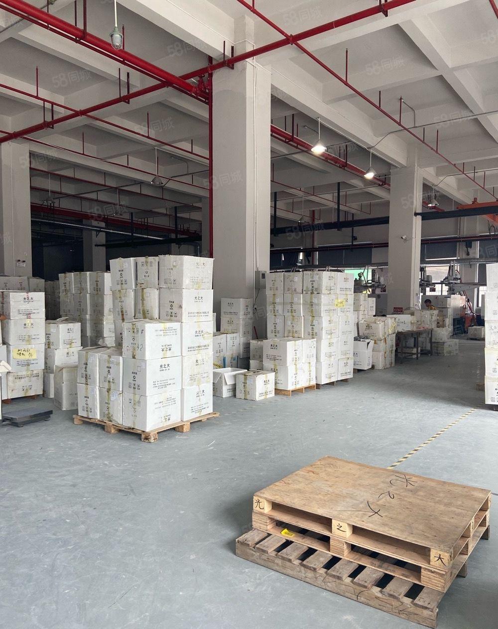 独院标准厂房一楼2500平方层高6米，水电线路办公室装修齐全