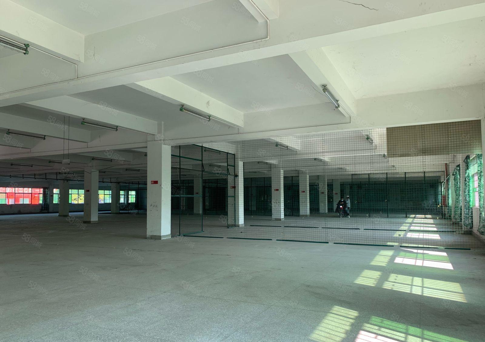 常平标准厂房实际面积出租