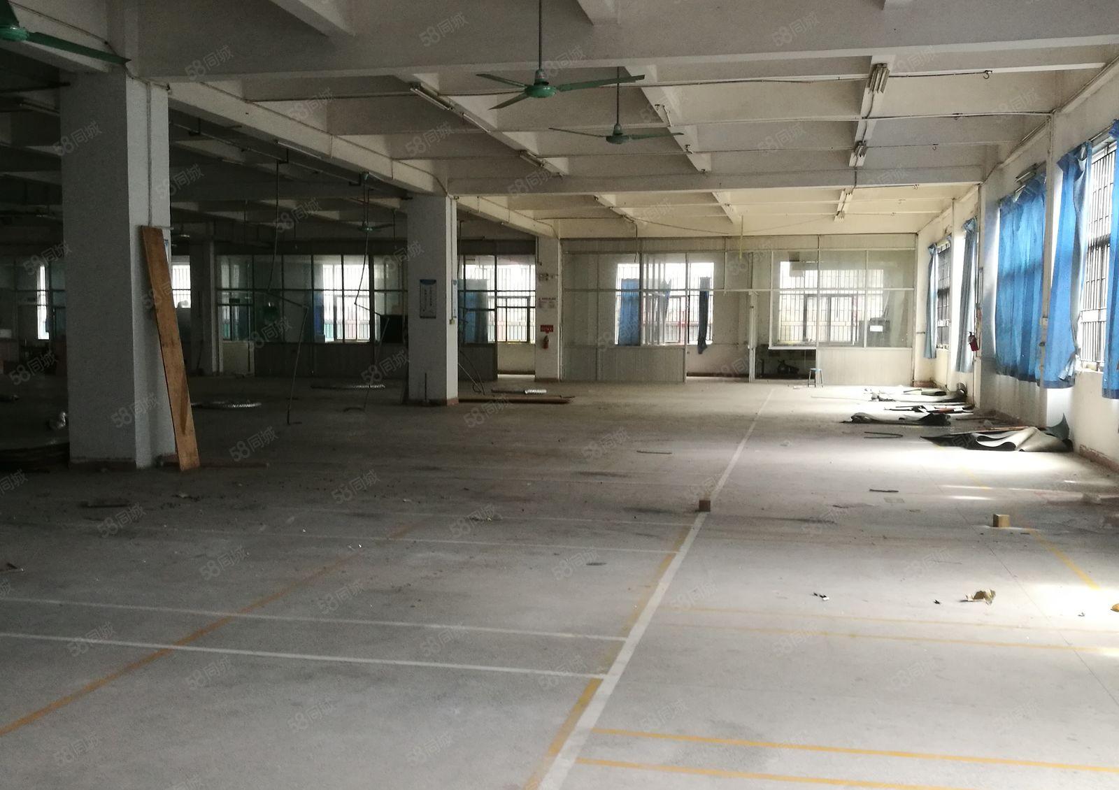 常平桥梓工业区新出一楼650平米，高度6米，现成水电装修