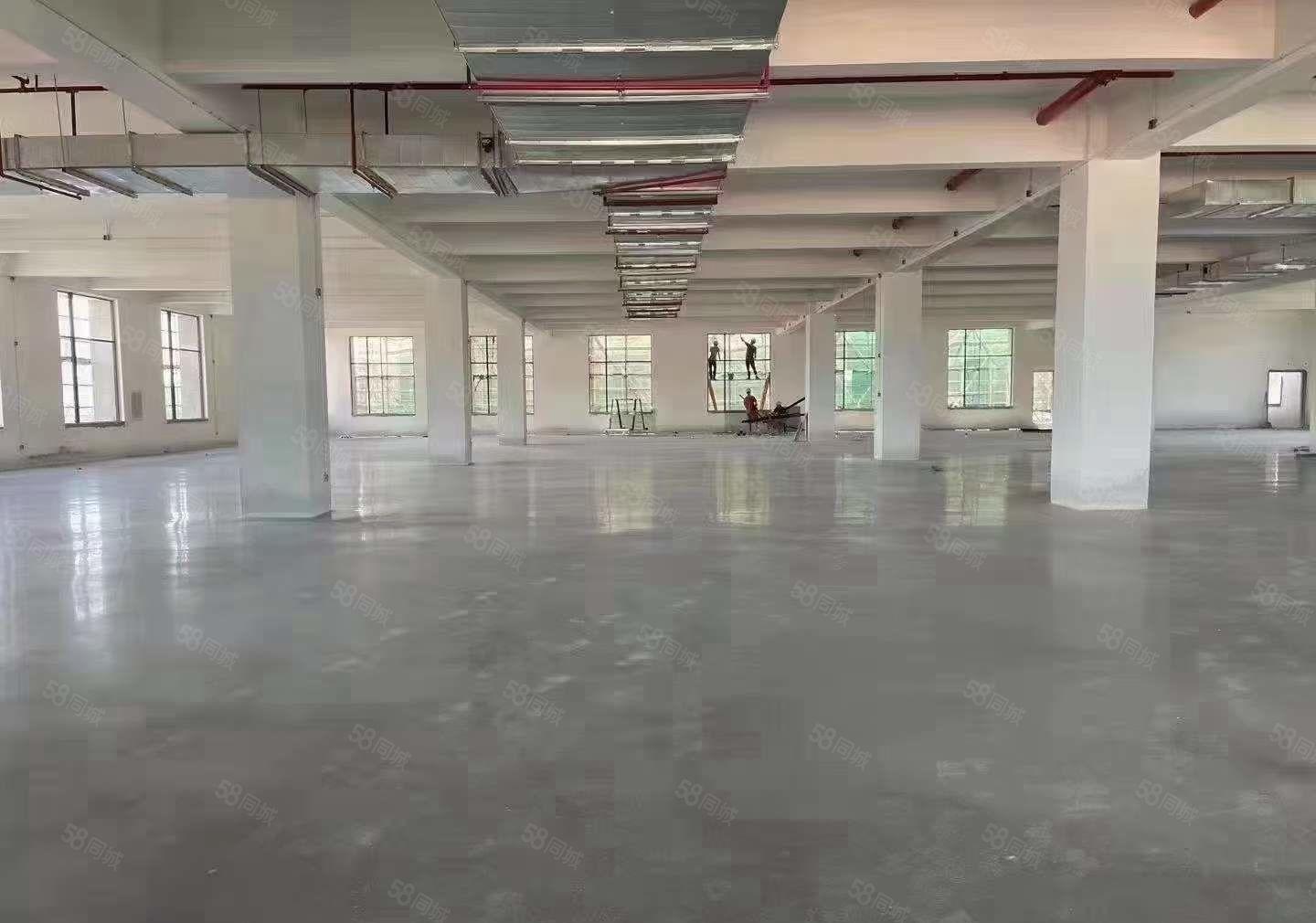 常平镇全新厂房5楼2800平只租13元 楼上5米高两部客梯