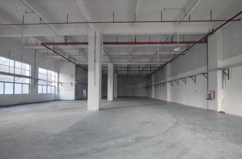 常平镇原房东标准一楼1000平方厂房出租，交通便利，价格便宜