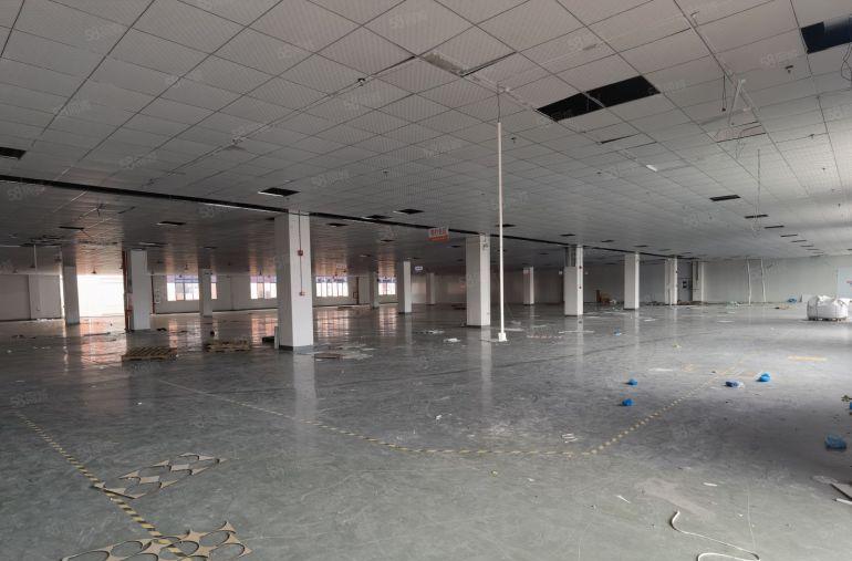 常平靠东坑全新精装修两部三吨货梯带卸货平台