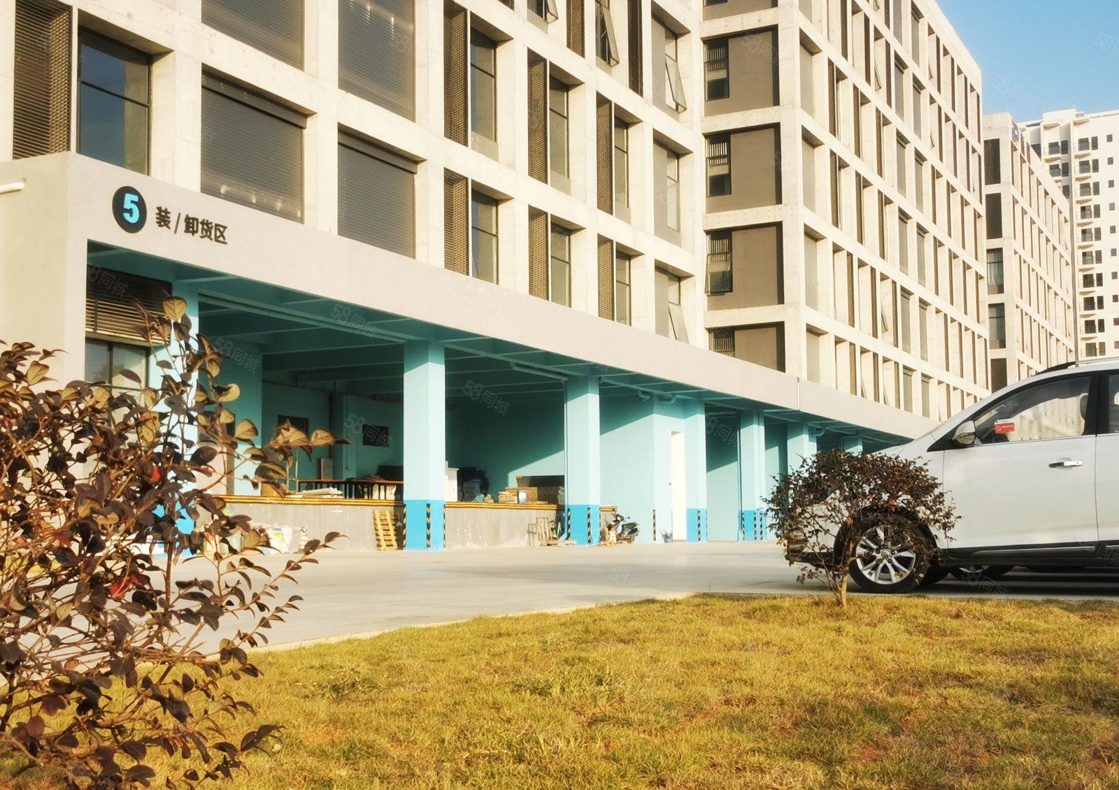 常平近东部工业区全新工业厂房每栋28000平可整租可分租