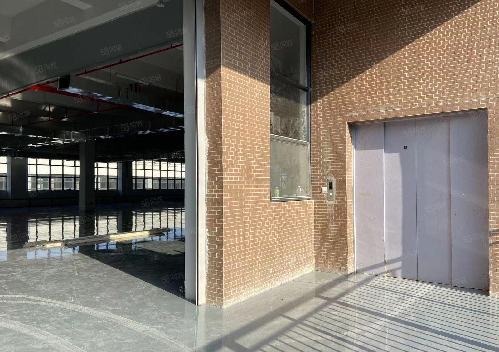 常平原房东红本独院18000平方，可分层租，带卸货平台