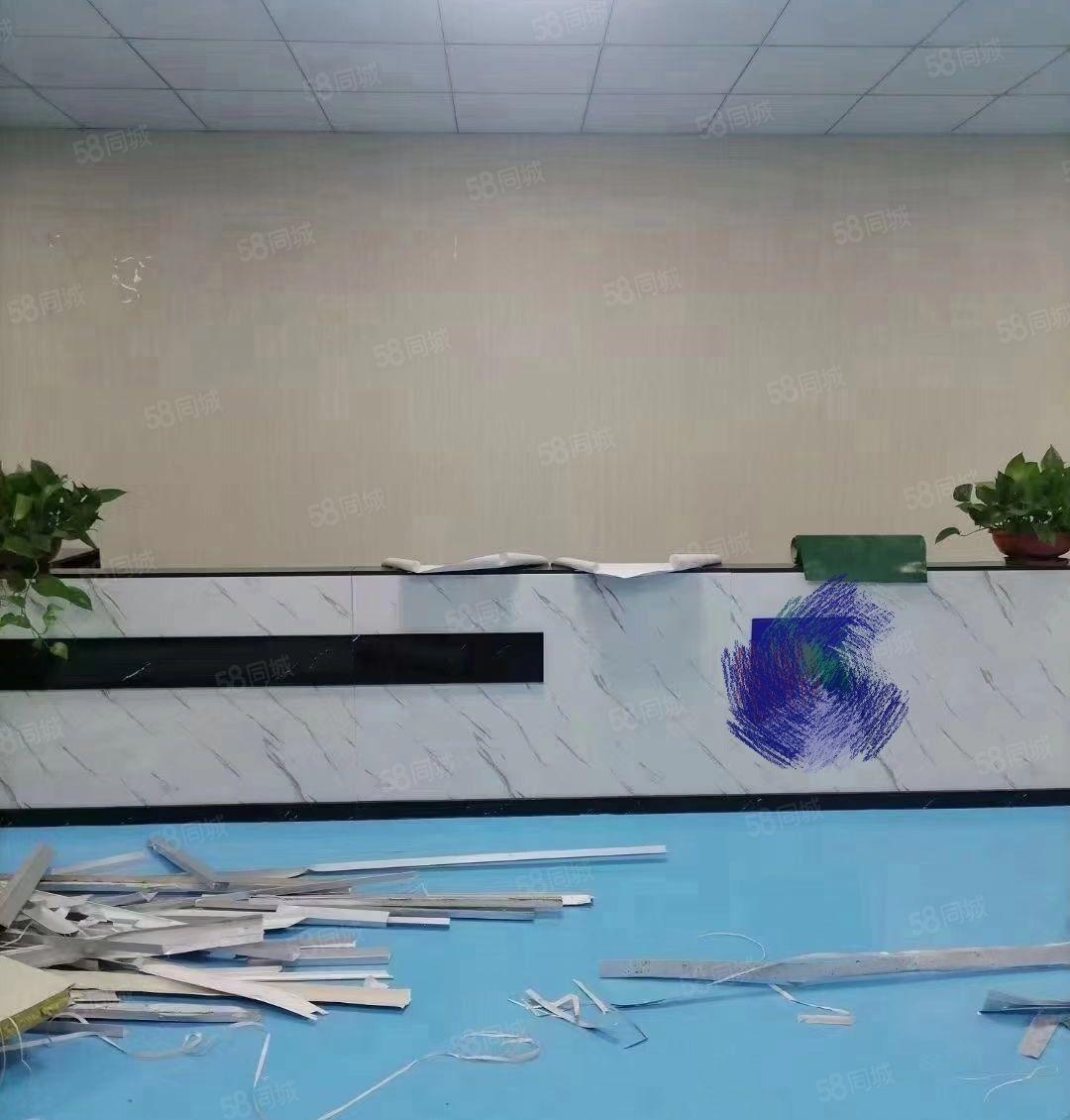 常平镇1200平豪华装修无尘车间转让