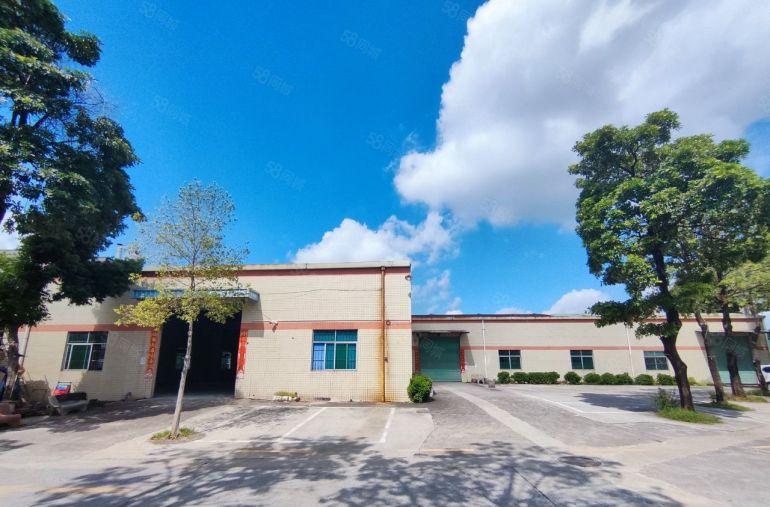 常平镇桥沥原房东单一层2000平方，滴水7米，空地1500