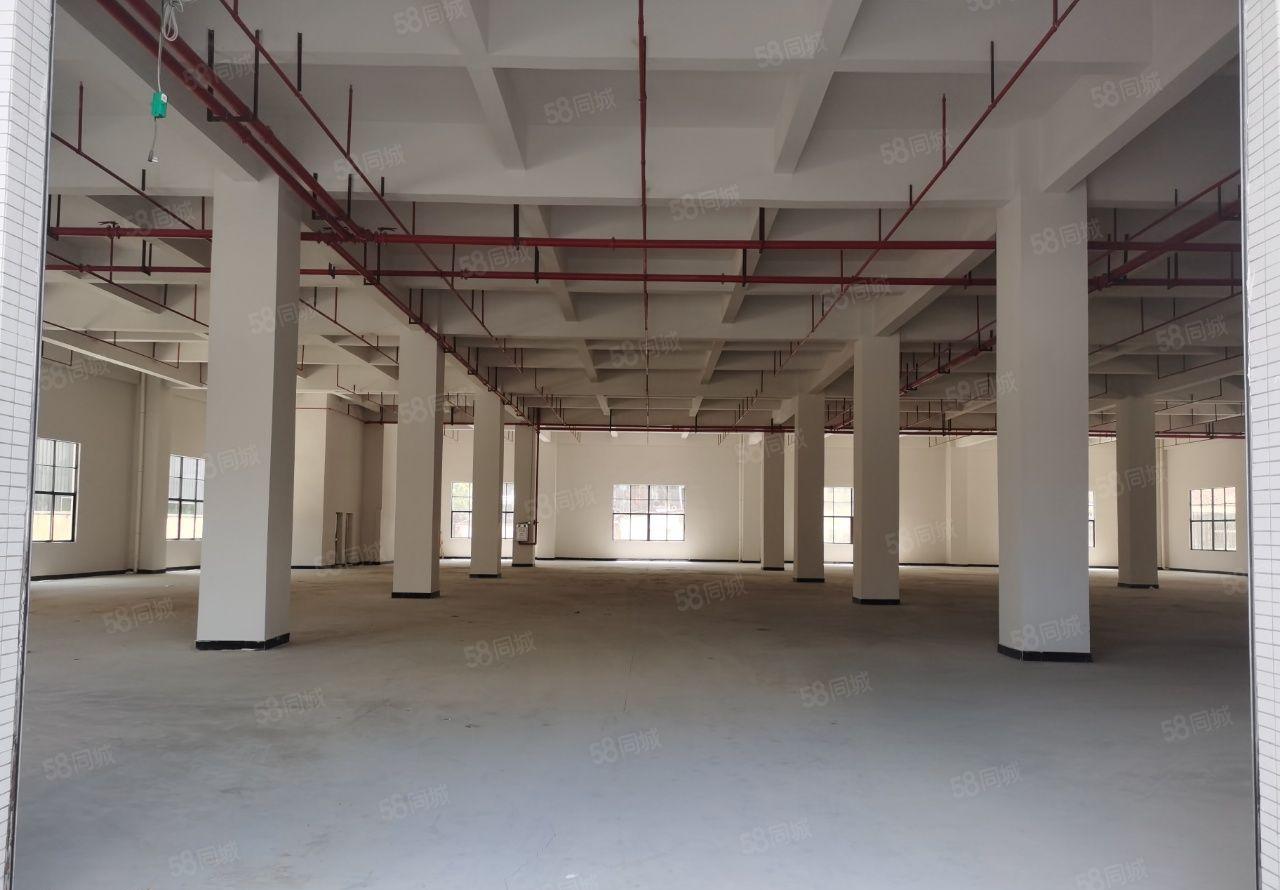 东莞常平镇全新标准厂房有VOC喷油环评指标，可分租可整租