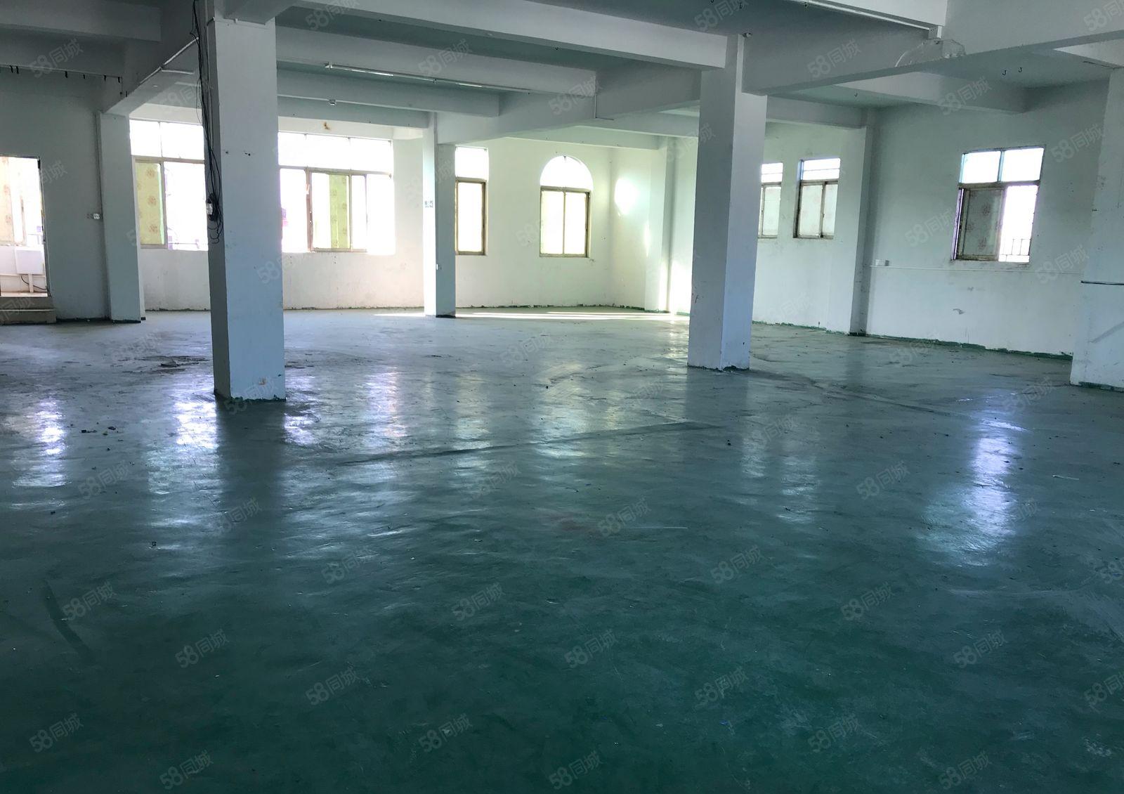 常平袁山贝新出楼上450平10元平厂房