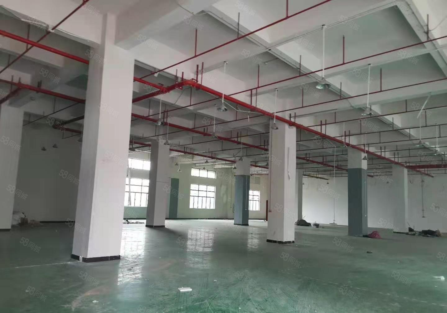 常平镇司马原房东厂房标准一楼加三楼空地超大形象好工业用地