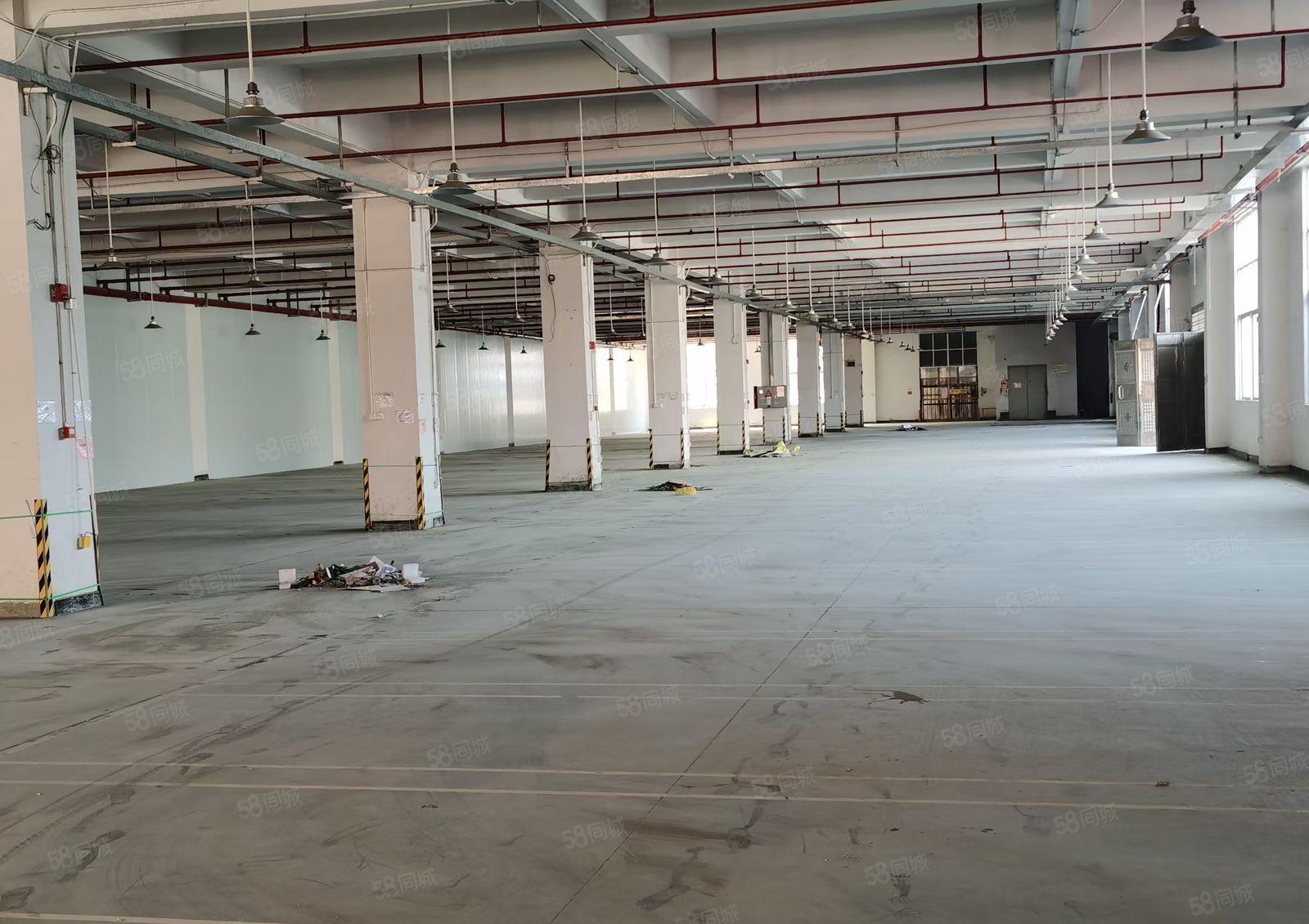 常平袁山贝工业区新出一楼1900平米带装修，工业用地可办环评