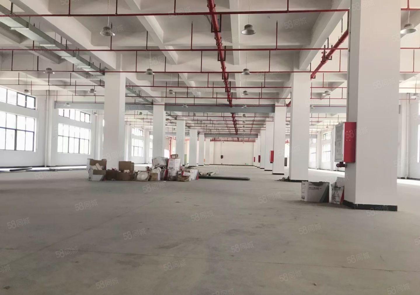 常平环保园厂房招租喷油喷粉注塑等拎包入驻可分租