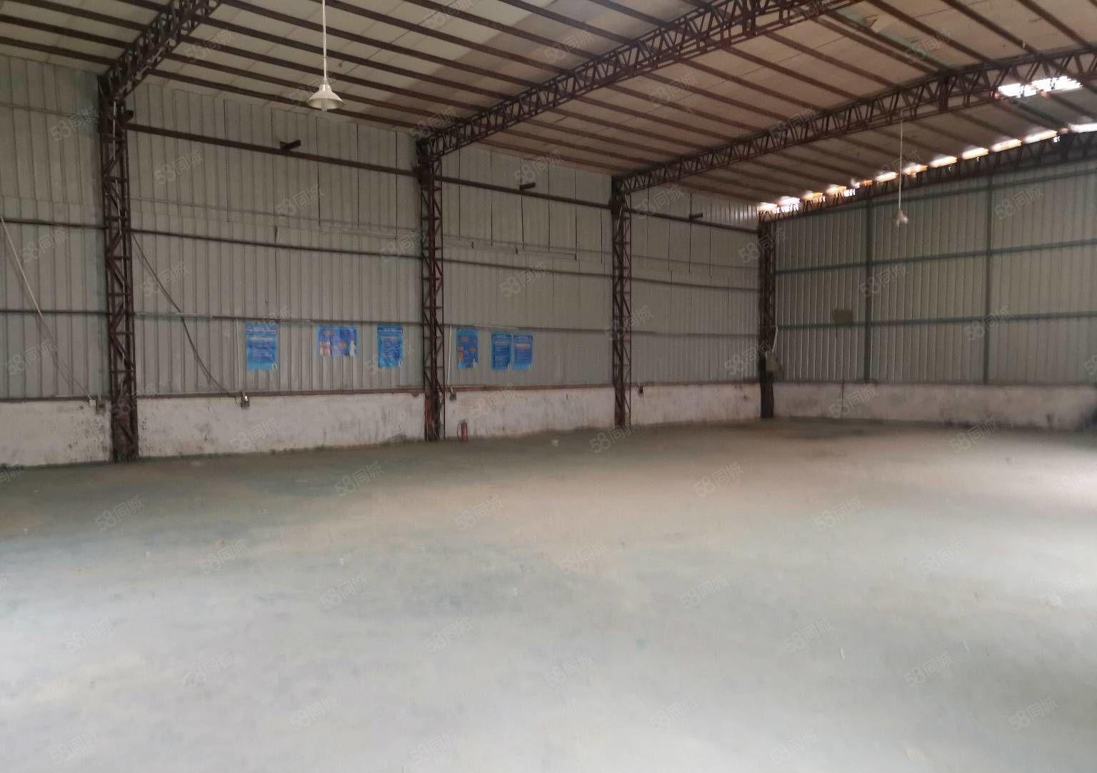 常平镇新出单一层钢构，内部格局方正实用性好，300平起租。