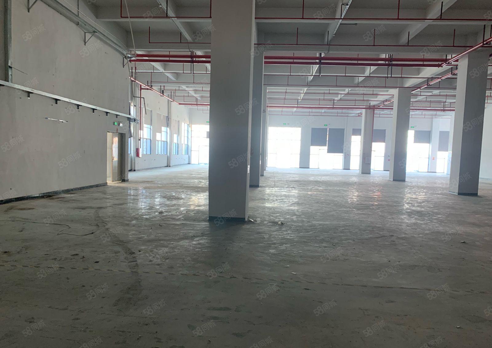 常平新建1000平标准厂房低价出租