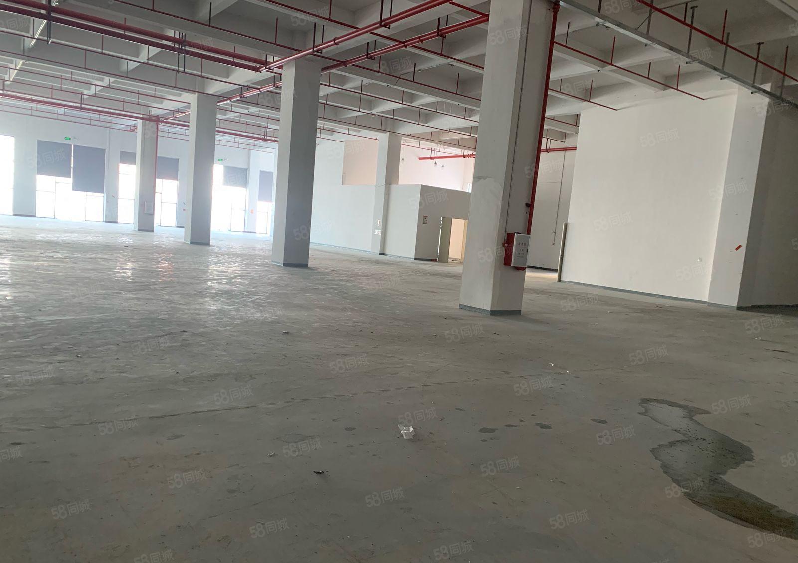 常平新建1000平标准厂房低价出租