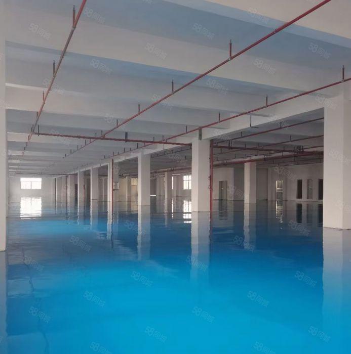 常平10元厂房零押金，无公摊面积精装修水电到位拎包入驻