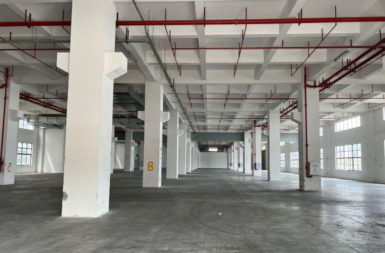 常平8米高一楼带牛角5000平方，可分租，园区空地大