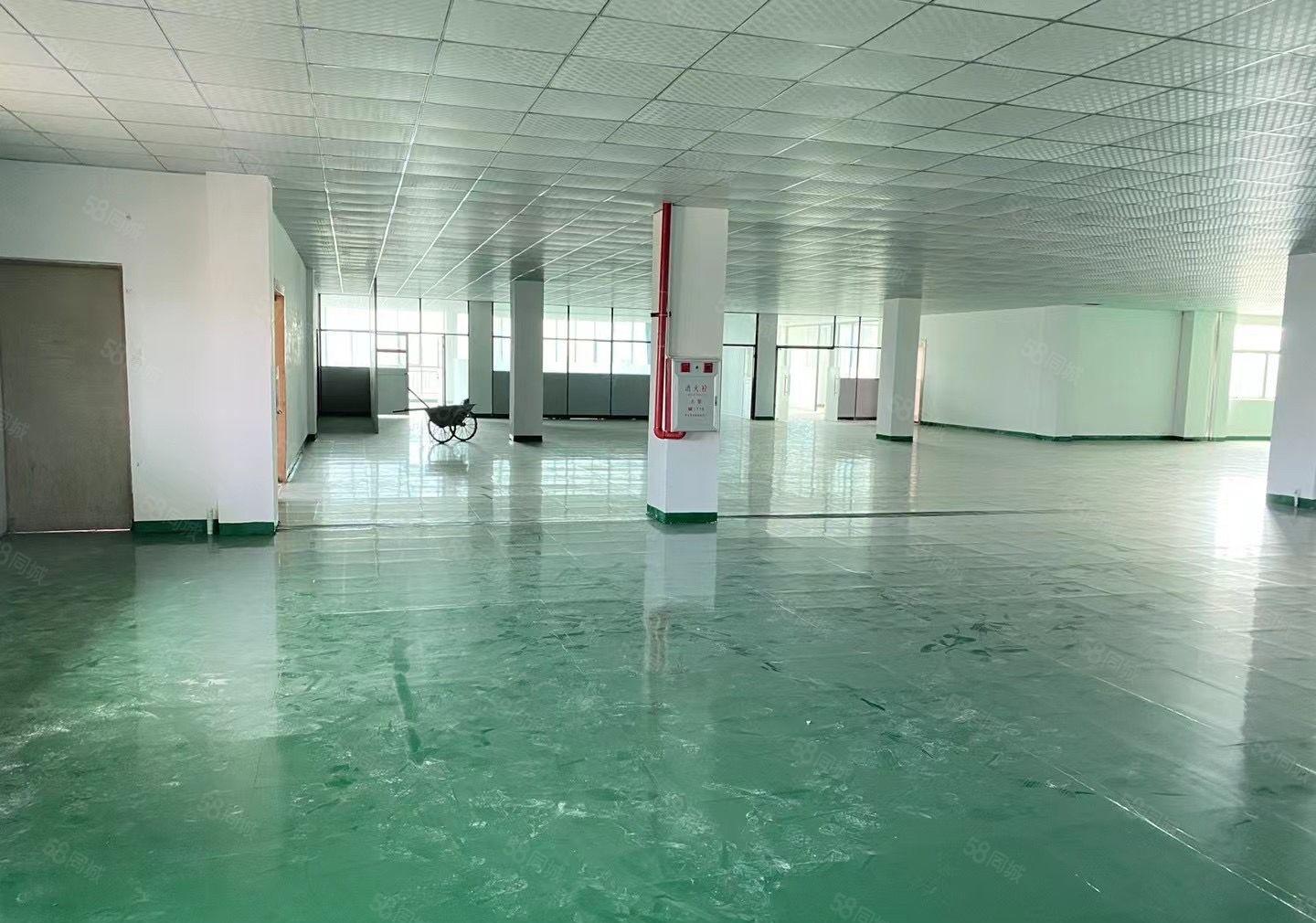 常平司马全新地坪漆带装修的厂房可做服装，电子，电商