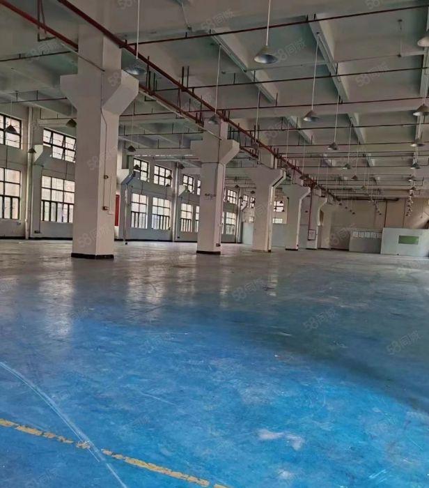 13元常平原房东厂房一楼四楼出租形象漂亮工业用地