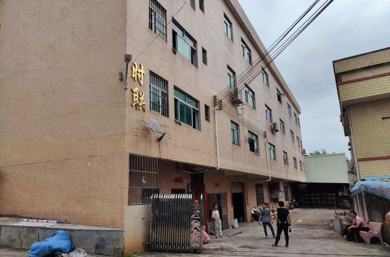 常平11块钱原房东独门独院3000平左右标准厂房好进大车