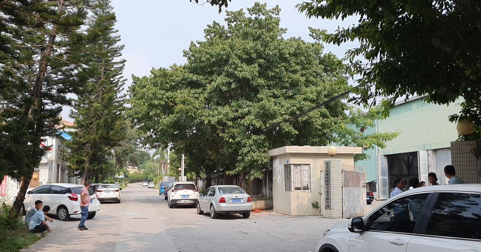 常平镇桥沥村新出原房东独院厂房1500平，滴水10米