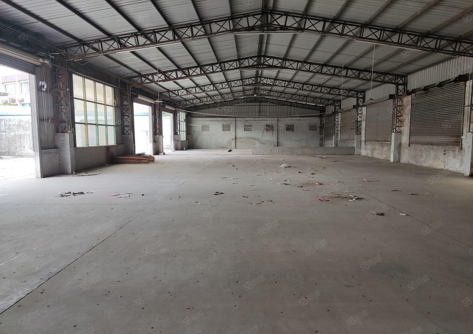 常平靠横沥单一层钢构独院可做抽粒空地大有现成装修办公室