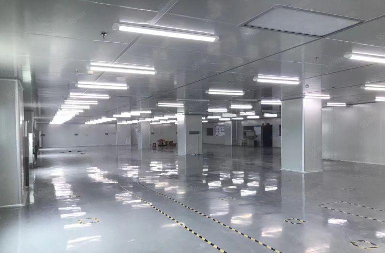 常平空出无尘车间1600平招租厂房形象好
