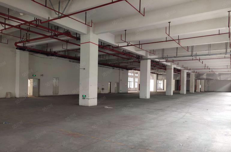 常平镇原房东标准一楼1500平方厂房出租，价格便宜，交通便利