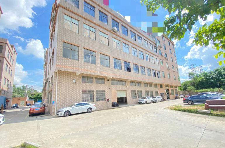 常平原房东一楼700平7米高适合注塑五金模具冲压等机械设备