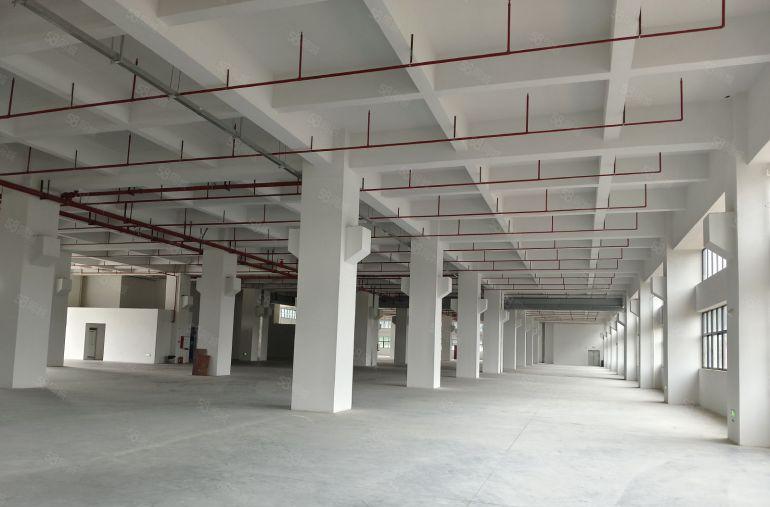 常平镇新出标准31000平方厂房出租，空地大进出方便，形象好