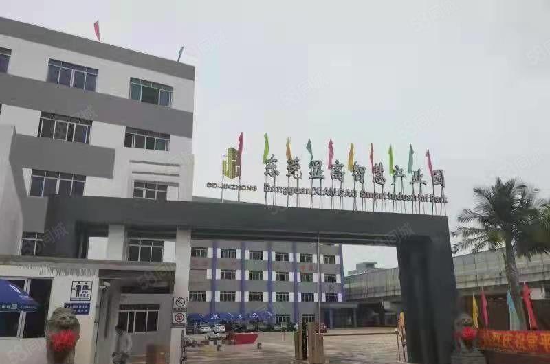 D9 139 2345 1489常平全新特价厂房