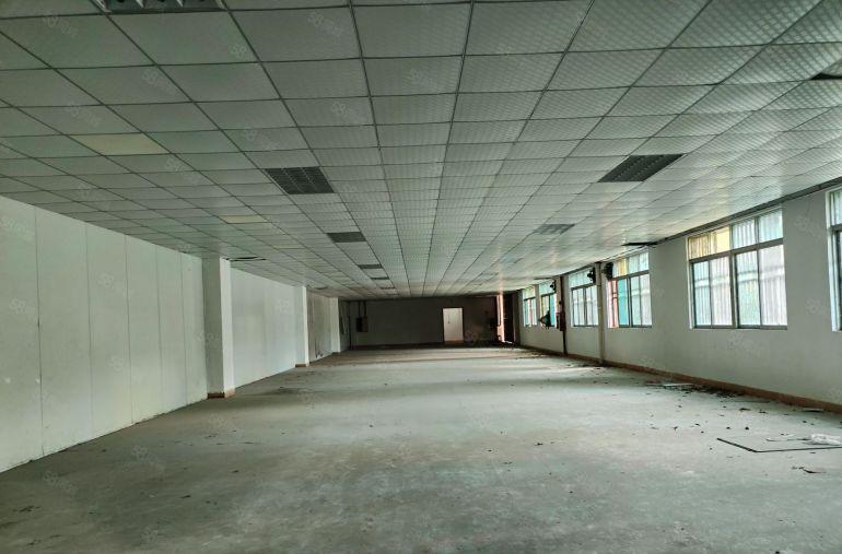 常平原房东  厂房出租  独门独院  分租4500平带电梯