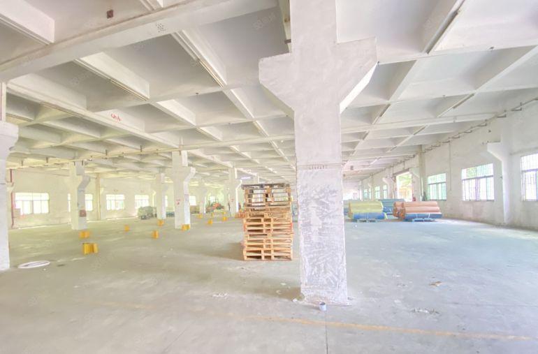 常平  原房东  独院 带牛角 适合注塑五金模具钣金压铸冲压