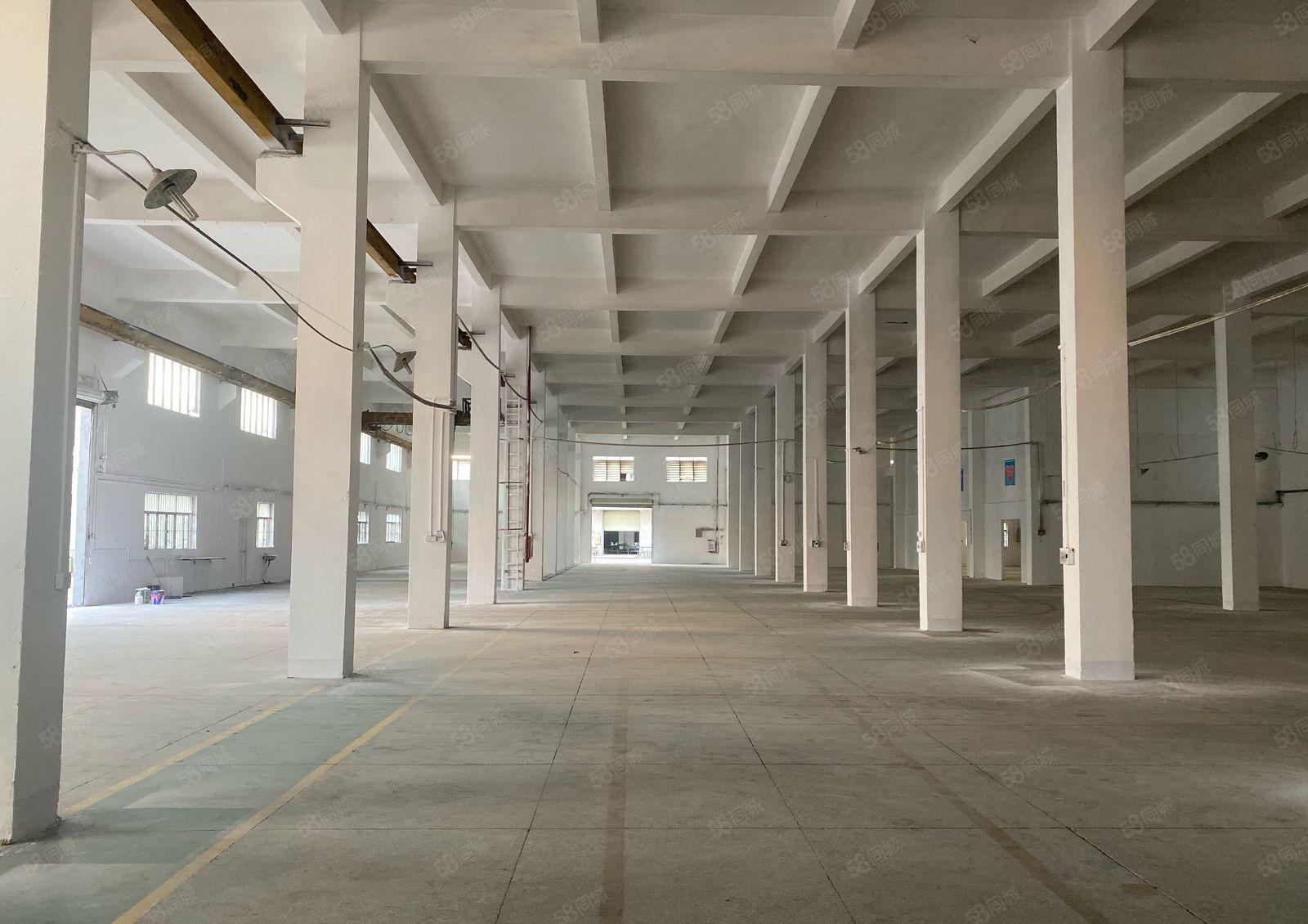 常平苏坑天然气两层楼房8000平方，一楼高8米带牛角