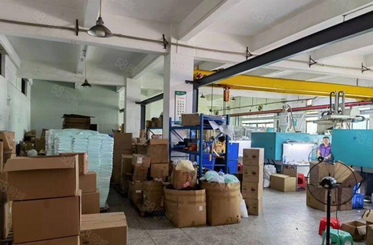 低价厂房出租常平镇800平方一楼高6米空地1000平方