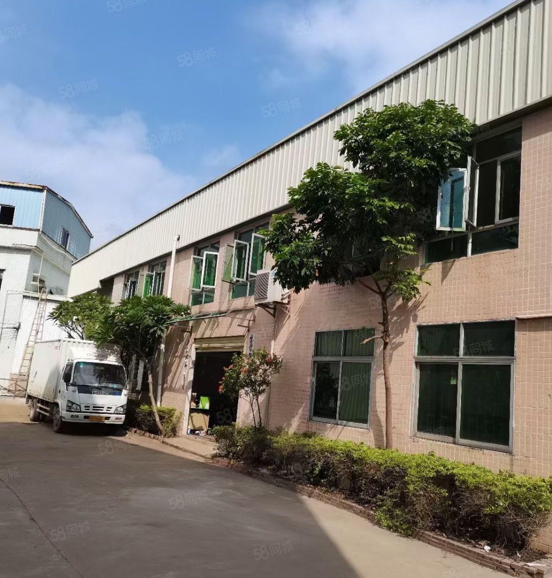 常平槊胶城旁独园钢钩2200平可以分租行业不限价格实惠