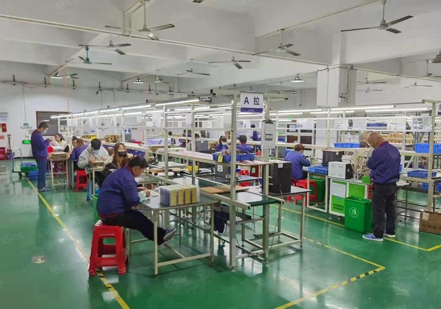 常平新出标准二楼2100平，豪华装修