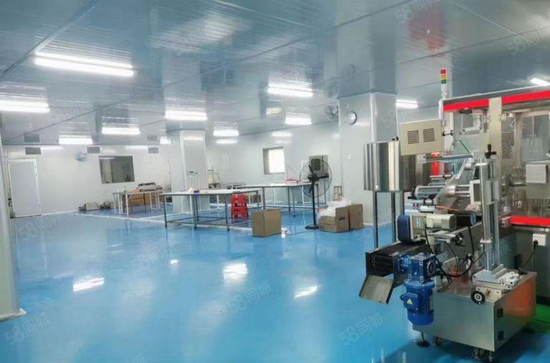 常平独院新空无尘车间厂房出租，950平带精装修现成主线到车间