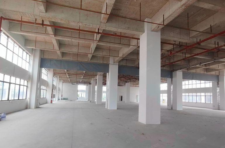 常平镇木伦村厂房10万平方招租，原房东直租，带装修。