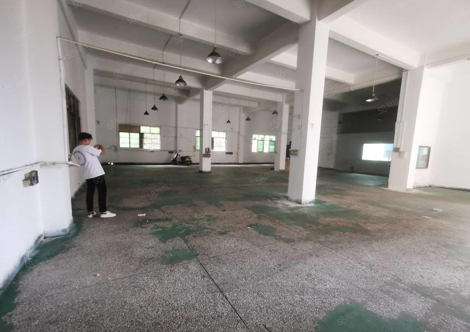 常平原房东一楼550平层高6米实际面积出租