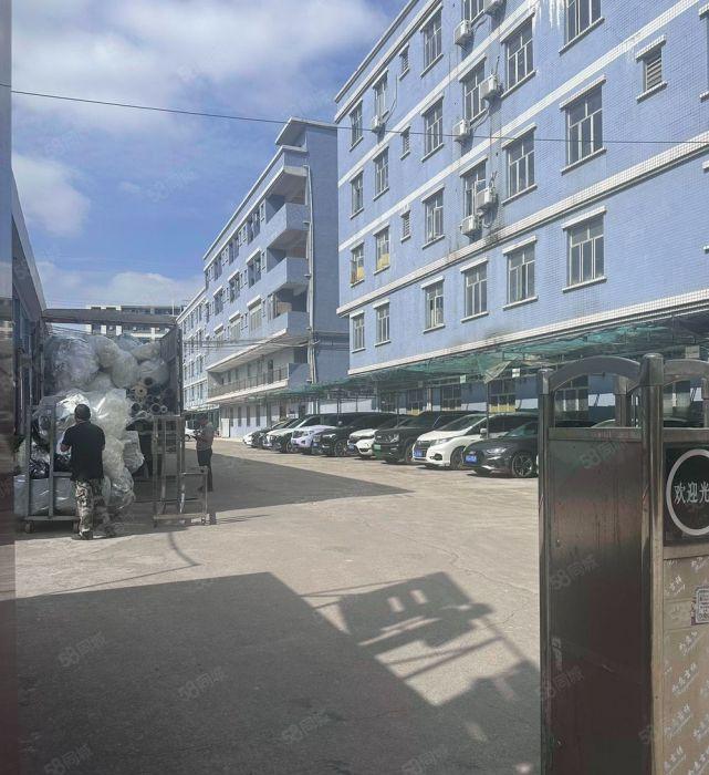 常平10米高原房东钢构独门独院厂房出租2万平方，可分租