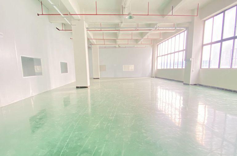 常平原房东 二楼1500 无尘车间 低价10元出租形象超好